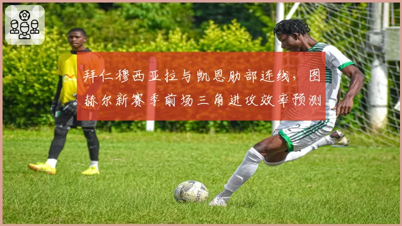 拜仁穆西亚拉与凯恩肋部连线，图赫尔新赛季前场三角进攻效率预测