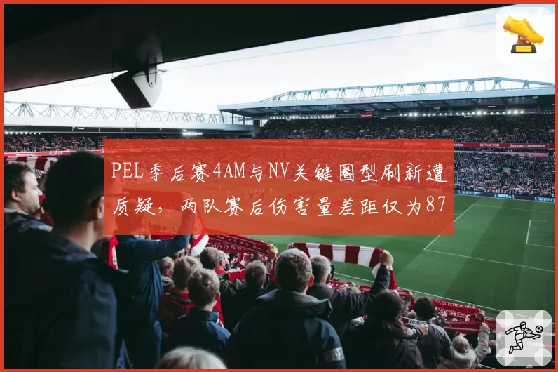PEL季后赛4AM与NV关键圈型刷新遭质疑，两队赛后伤害量差距仅为87点