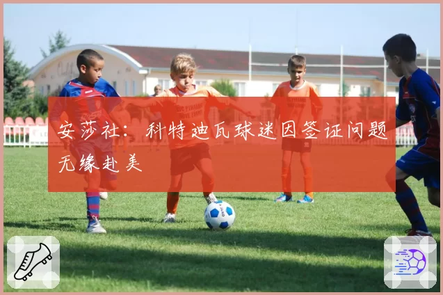 安莎社：科特迪瓦球迷因签证问题无缘赴美