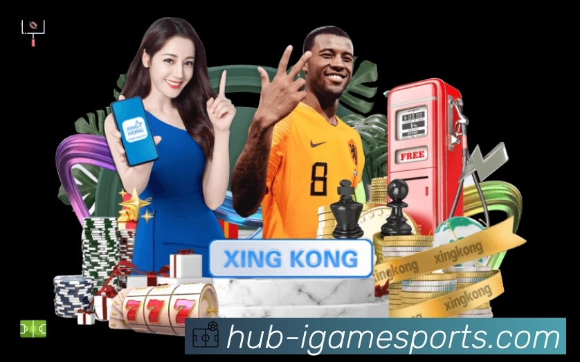 安全使用与支持流程